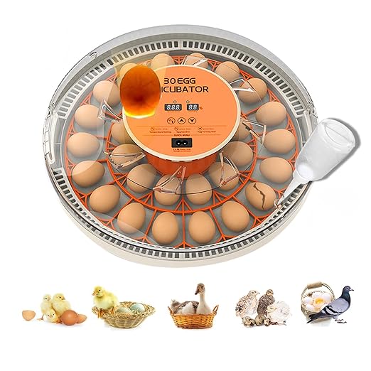 30 Egg Incubator with Automatic Egg Turning and Humidity Control/Display, Poultry Incubator with Water Refill, 360°Clear View, Air Vent, Candling Light, Hatching Chicken Quail Duck Goose Birds