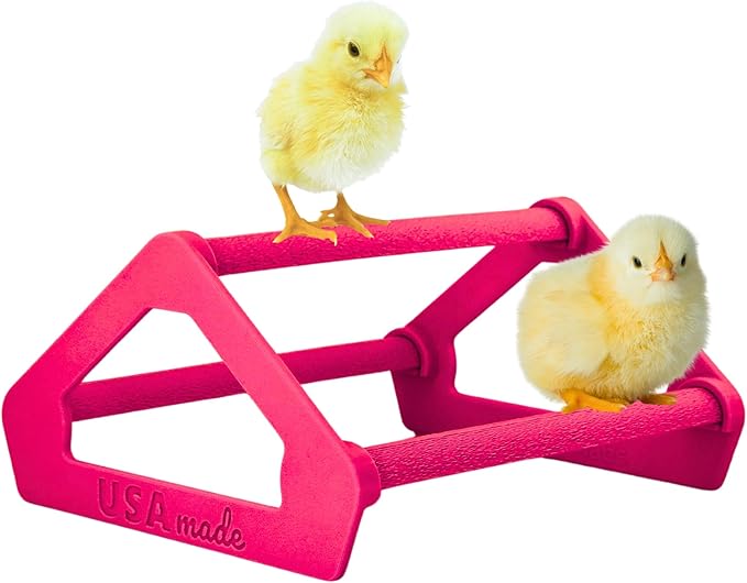 Roosting Perch for Baby Chickens, Chick Brooder Coop Training Toy Accessory, Easy Click Together Assembly, Durable Plastic, Mix and Match Colors, USA Made (Magenta, 1 Pack)