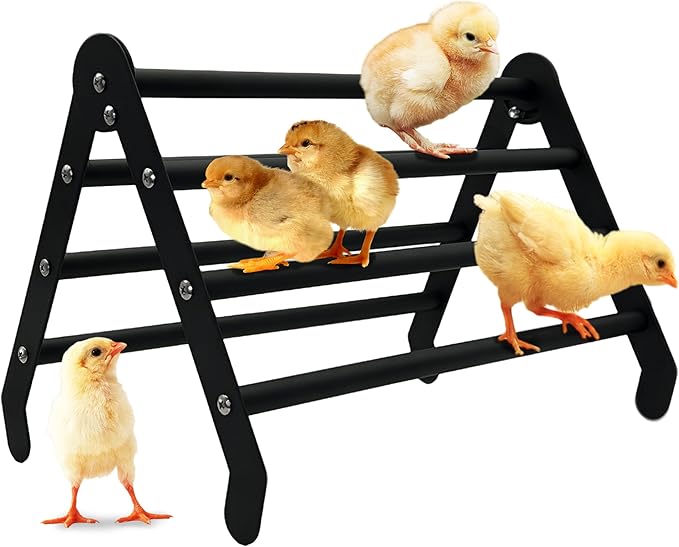 Chick Perch for Brooder - 7-Bar Metal Baby Chicken Supplies Stand - 2026 New Edition Training Roosting Bars for Chicks - Smooth Surface - High Weight Capacity, Easy to Move, No-Tool Setup