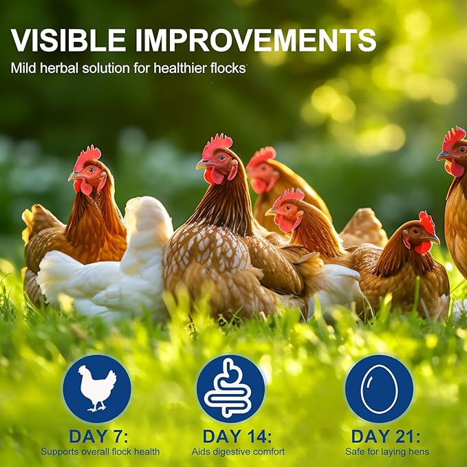 BARAVI Hen Digestive Supplement - 7.05OZ | Probiotics, Digestive Enzymes & Electrolytes | Essential Vitamins for Adult Poultry Health (Red, S)