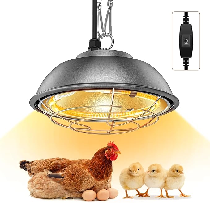 350 Watt Heat Lamp for Chickens - Chtoocy Chicken Coop Heater with Carbon Fiber Bulb, 5.2FT Thickened Power Cord & Chicken Heat Lamp with 2 Temperature Adjustable (175/350W) for Chicks, Ducks and Pets