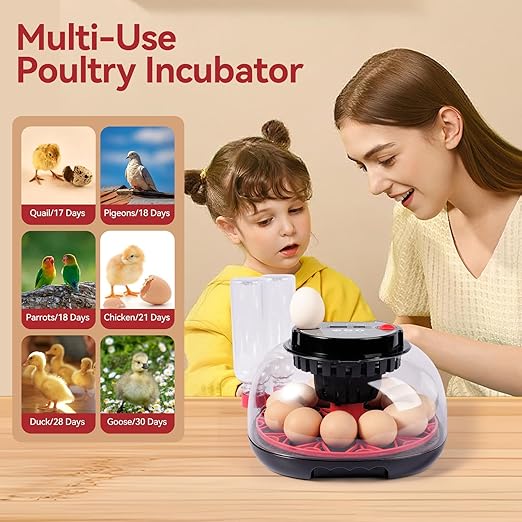 12 Egg Incubators for Hatching Eggs, Chicken Egg Incubator with Automatic Egg Turning and Temperature Humidity Control, 360° Clear View Lid or Home, Farm, Classroom, Hatching Chicken, Duck,Quail,Goose