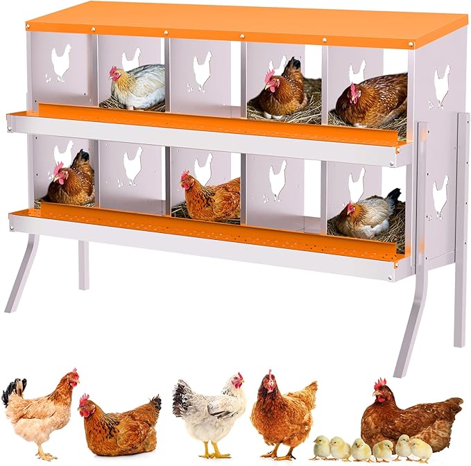 10-Compartment Galvanized Steel Nesting Box with Stand, Alloy Steel Chicken Laying Box with Roll-Away Egg Collection & Removable Trays, Freestanding for Coop, Backyard, Farm (Orange)