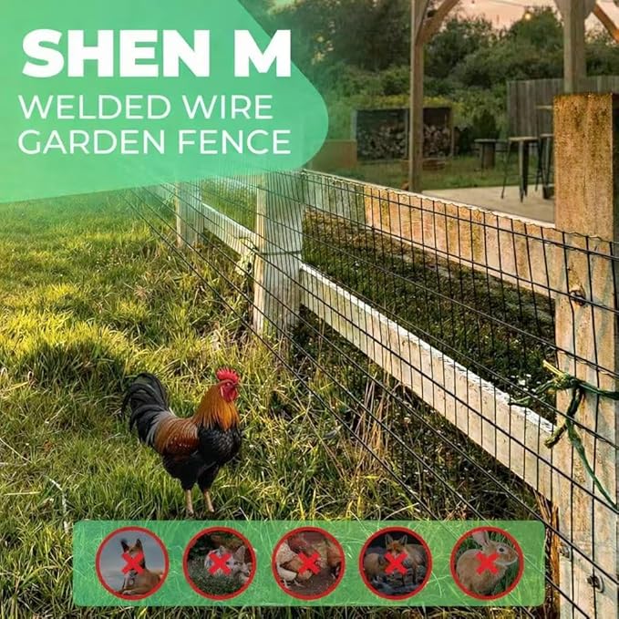 (36 in x 50 ft) Garden PVC Welded Wire Fence, Mesh Size 2 in x 3 in, 16-Gauge Welded Wire Fence, Poultry Protection Animal Fence, Includes Gloves and Pliers