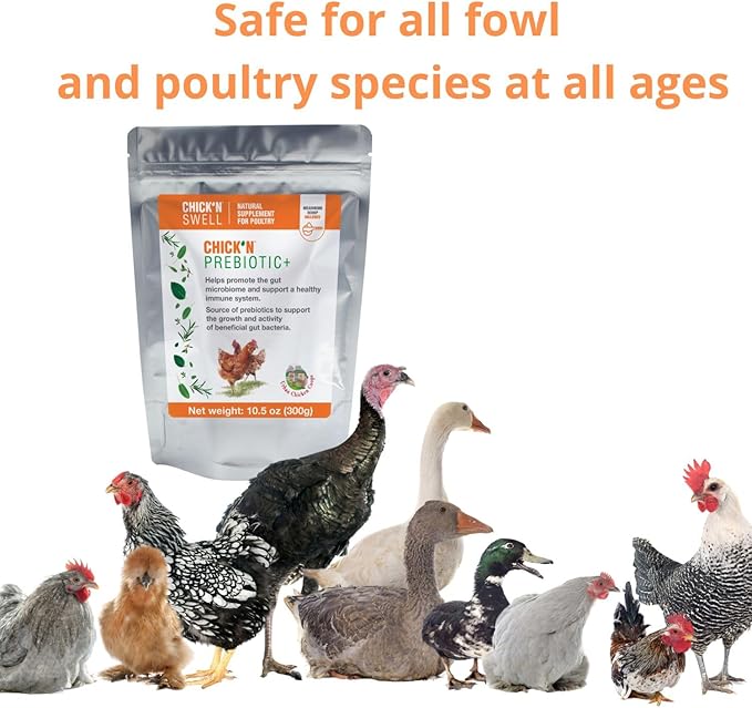 ChicK'N Swell Poultry Prebiotics from Chick'n Prebiotic+ | Supplement with Vitamins for Backyard Chickens and All Poultry of All ages-10.5 oz.