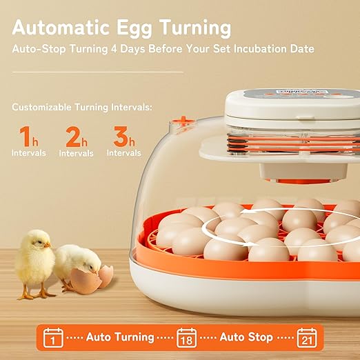 25 Egg Incubator, Extra-Large Interior with High Protective Wall, Top Carry Handle, Automatic Egg Turner, Preset Incubation Period, Auto Water Refill, for Chicken, Quail & Duck Eggs, APDOE HatchPro 25