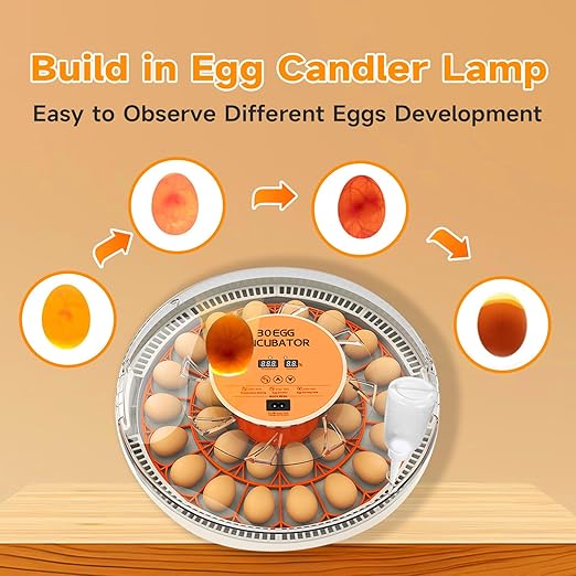 30 Egg Incubator with Automatic Egg Turning and Humidity Control/Display, Poultry Incubator with Water Refill, 360°Clear View, Air Vent, Candling Light, Hatching Chicken Quail Duck Goose Birds