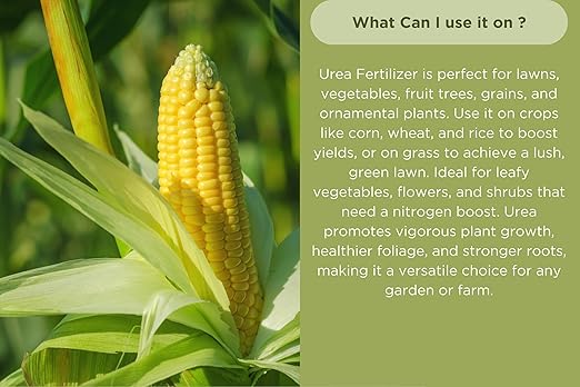 Old Cobblers Farm™ Wicked Growth High-Efficiency 46-0-0 Fertilizer - Urea - Fast-Acting Nitrogen Source for Lush Growth in Gardens & Farms -Soluble (5 lbs | 10 lbs | 15 lbs | 20 lbs) (5 lbs)