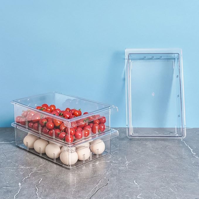 Farochy Refrigerator Organizer Bins - Egg Drawer Fridge Shelf Holder Storage Box for Fruits & Vegetables (1 Pack)