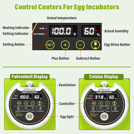 Quail Egg Incubator for Hatching 40 Quail Eggs with Automatic Turner and Humidity Control, Small Quail Brooder, Outdoor Poultry Egg Incubator, Suitable for Quail Parrot Canary and Other Bird