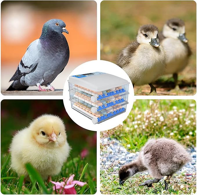 Egg Incubator Chicken Incubators for Hatching Eggs with Automatic Temperature and Humidity Control, Chick Brooder, Incubator Box Kit,36Eggs,176Eggs