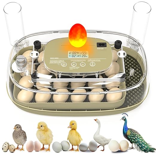 Incubators for Hatching Eggs,24 Eggs Capacity with Automatic Turning, Accurate Temp & Humidity Control, Egg Candler, Air Vent, and 360° Viewing for Chicken, Duck, Quail & Goose Eggs
