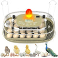 Incubators for Hatching Eggs,24 Eggs Capacity with Automatic Turning, Accurate Temp & Humidity Control, Egg Candler, Air Vent, and 360° Viewing for Chicken, Duck, Quail & Goose Eggs