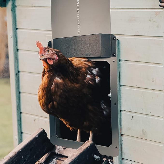 Farmight Automatic Chicken Coop Door – Aluminum, Battery Powered, Light Sensor & Timer Modes, Safety Sensor, Easy Install, Weatherproof, 1-Year Warranty