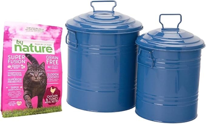 HIT 6515E B Enameled Galvanized Steel Storage Containers S/2, Blue