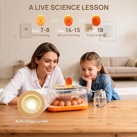 TURBRO 12 Egg Incubator with Automatic Egg Turning, Incubator for Hatching Eggs with Auto-Temperature and Humidity Control, Egg Candler, for Chicken, Duck, Quail, Use in Farm, Home, Classroom, Lab