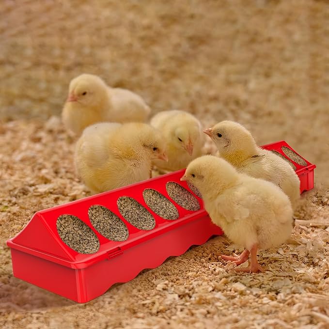 2-Pack Plastic Flip-Top Poultry Feeders, Spill-Proof Chick Feeder Trough with Multiple Feeding Holes, No-Waste Baby Chicken, Duckling, and Quail Feeding Dish Dispenser