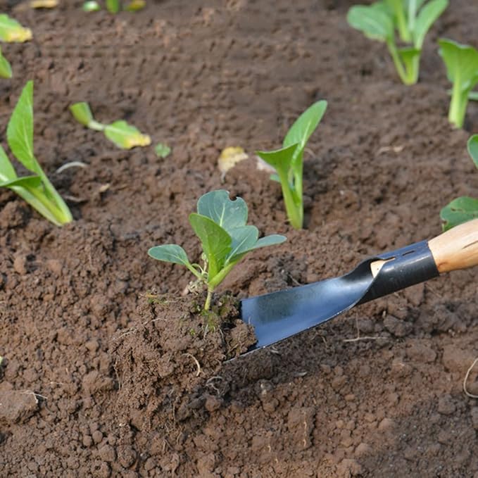 BESPORTBLE 2 Pcs Gardening Spade Tools with Wooden Handles, Metal Handheld Planting Shovels for Vegetable Transplanting and Flower Planting, Sturdy Farm Garden Hand Tools for Outdoor Soil
