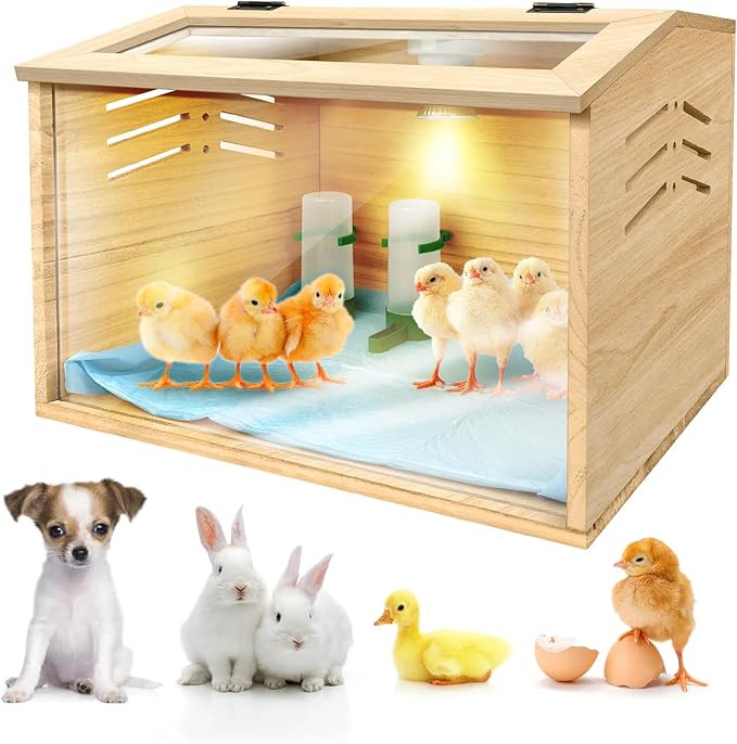 Chicken Brooder Box for Chicks & Quail with 3 Absorbent Pads, Feeder and Waterer - Adjustable Temperature Control Brooding Box for Small Chicken Coop & Quail Cage (15.7x12x12 Inches) ﻿