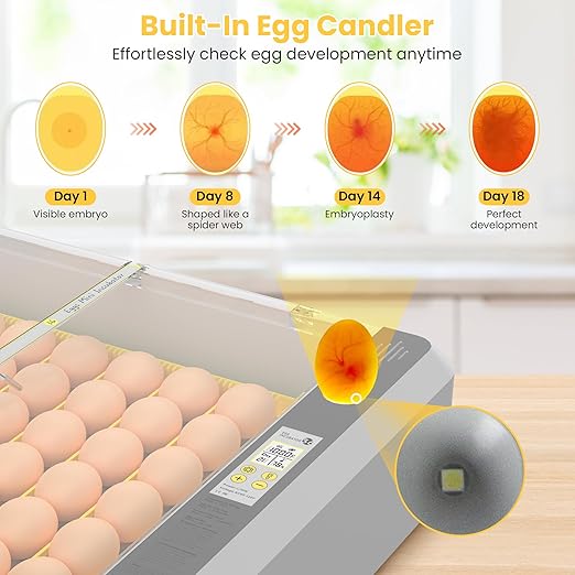 36-60 Egg Incubator with Automatic Egg Turning and Humidity Control, Adjustable Chicken Egg Incubator with Digital Display, for Hatching Eggs Include Chicken Duck Quail Eggs(Yellow)