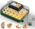25 Egg Incubator for Hatching Eggs with Automatic Egg Turning, Temperature & Humidity Display, Hatch Day Countdown, Auto Water Refilling System, Egg Candler, Multifunctional Egg Tray for Chicken