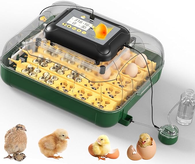 25 Egg Incubator for Hatching Eggs with Automatic Egg Turning, Temperature & Humidity Display, Hatch Day Countdown, Auto Water Refilling System, Egg Candler, Multifunctional Egg Tray for Chicken