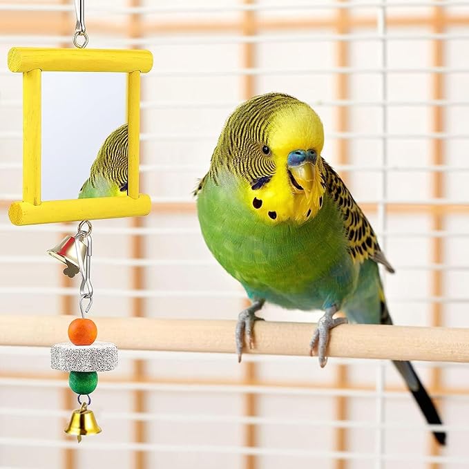 Chicken Mirror Swing - Chicken Toy Mirror |Chicken Mirror Beak Grinding Enrichment, Chicken Coop Mirror Swing, Coop Enrichment Mirror Pecking Toy, Safe Roosters Poultry Entertainment Accessories for Y