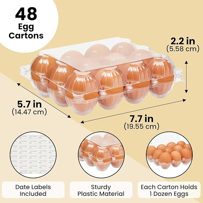 Stockroom Plus Clear Plastic Egg Cartons - Clear Containers with Date Labels - Bulk Egg Storage Set - Reusable Storage Containers - 12-Count, Pack of 48