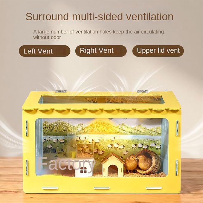 Chicken Brooder - Chew-Resistant with Observation Window, Quail Brooder Box Kit for Small Space Backyard Urban Home Small Farm Apartment Garage Beginners Adults