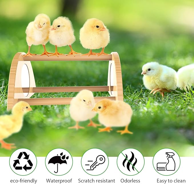 Mini Chick Perch with Mirror, Strong Bamboo Roosting Bar for coop and brooder, Training Perch for Baby Chicks, El Pollitos, La Pollita, Easy to Assemble and Clean, Fun Toys for Chick