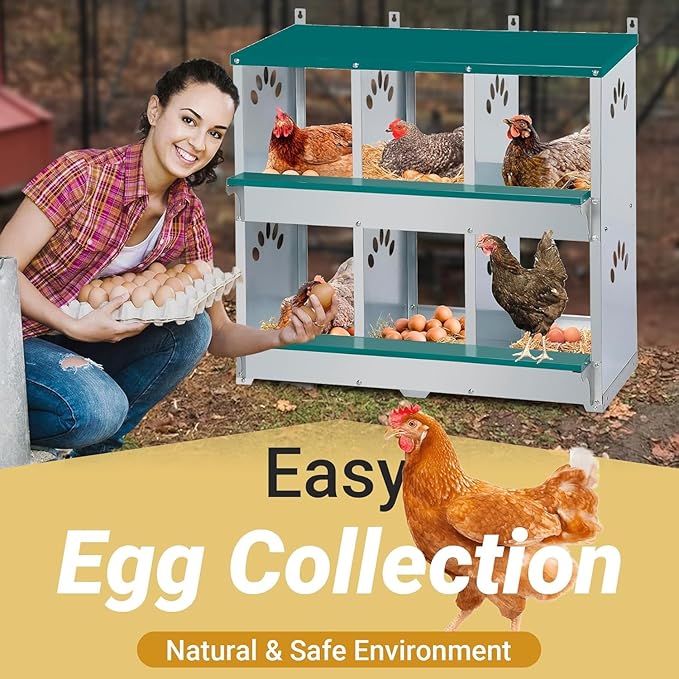 Rustproof Galvanized Steel Build - Chicken Nesting Box for Small Animals - 6 Compartments, Large Vented Holes, Easy Clean, Secure Egg Collection, Wall-Mounted - Green, 6 Compartments ZW