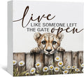 Nursery Cheetah Wooden Box Sign, Cute Live Like Someone Left the Gate Open Wooden Signs for Home Decor,Funny Animal Kitchen Bedroom Decor,Cheetah Gifts for Kids Boys Girls, 5x5
