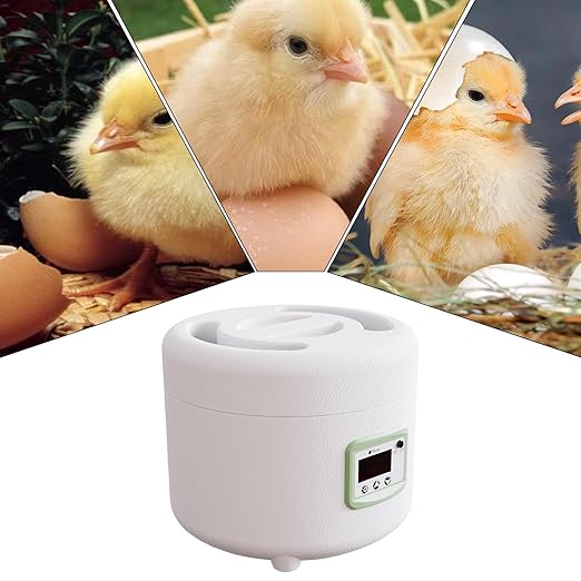Egg Hatching Incubator - Automatic Egg Turner, Digital Temperature Control | Poultry Hatcher for Chicken, Duck, Quail Eggs, 9-10 Egg Capacity, LED Display, Ideal for Home and Educational Use