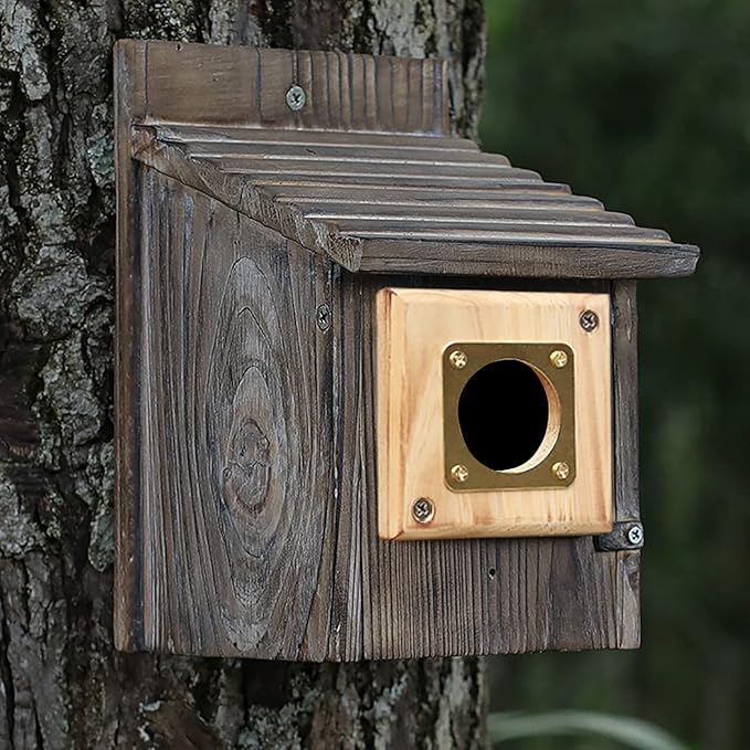 Bluebird House Predator Guard,Metal Birdhouse Guard,Bird House Hole Protector Guard for Eastern Bluebird Box 1 1/2 Inch Opening