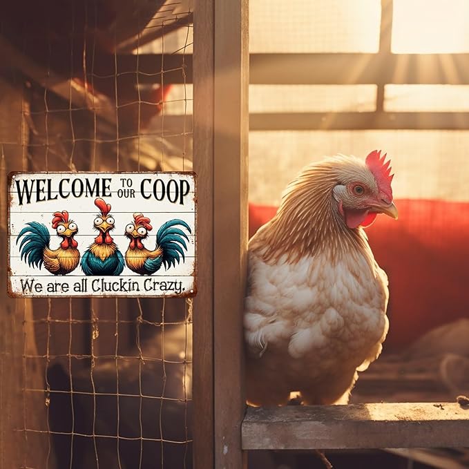 Welcome to Our Coop Sign We Are All Cluckin Crazy Metal Tin Sign Farmhouse Kitchen Coop Decor Funny Novelty Chicken Coop Accessories Farm Wall Decor 8x12 Inch