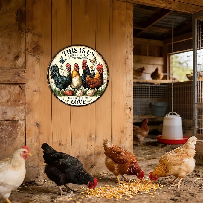 Vintage Chicken Metal Sign This Is Us A Little Bit Of Crazy A Little Bit Loud Round Chicken Coop Sign Home Kitchen Coffee Wall Decor Art Poster 12 Inch