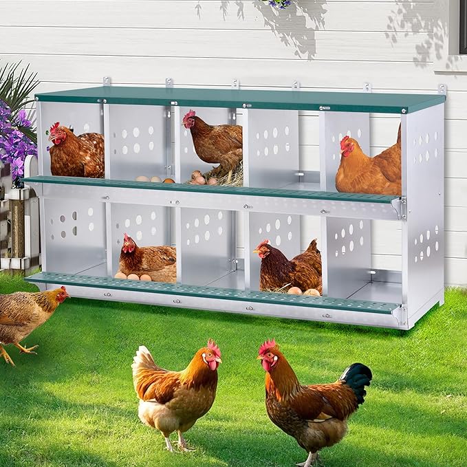 3/4/6/8/10 Holes Chicken Nesting Box for Chickens Hens Ducks, Metal Nesting Boxes for Chickens Wall Mount Egg Laying Nesting Boxes for Chicken (Green, 10 Compartment)