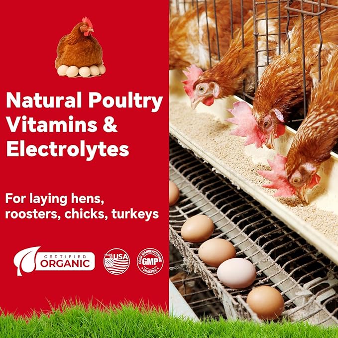 Chicken Vitamins & Electrolytes for Water — Immunity, Feather Health & Egg Production — Hydration + Glossy Feathers + Stronger Shells — Electrolytes, Calcium & Biotin, Vitamin D3 — 16 oz Powder