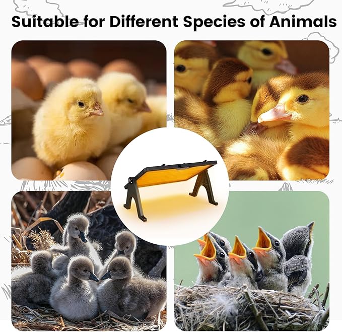 Chick Brooder Plate, 12"x16.5" Adjustable Double-Sided Heating Plate with LED Light & Remote Control, Brooder Heater for Baby Chicks, Ducklings & Birds, Safe Low-Energy Chick Heating Plate 86°F-167°F
