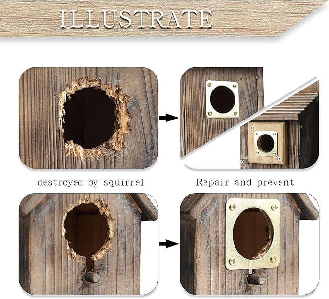 Bluebird House Predator Guard,Metal Birdhouse Guard,Bird House Hole Protector Guard for Eastern Bluebird Box 1 1/2 Inch Opening
