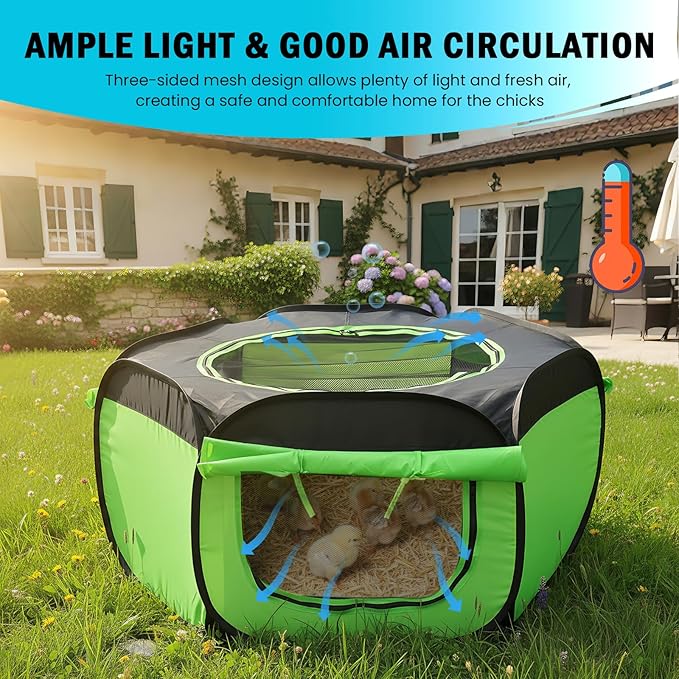 Chicken Brooder Box for Chick Starter Kit Upgrade Three-Sided Mesh Window Brooder Box for Chicks, Pop-Up Brooder Pen, Tent Up to 15 Chick, Duck and Quail (Green)