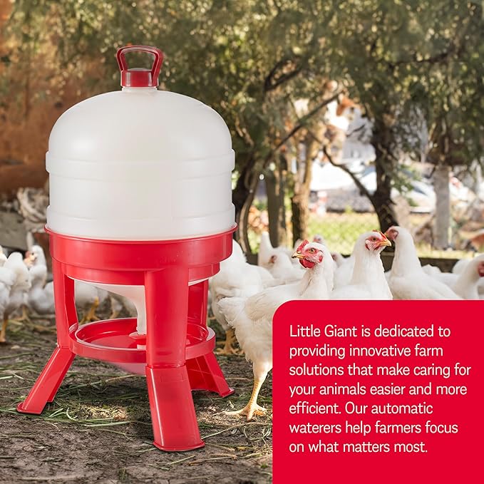 Little Giant DOMEWTR8 8 Gallon Tank Heavy Duty Plastic Dome Poultry and Chicken Gravity Water Dispenser with 3 Footed Stand, Red (2 Pack)