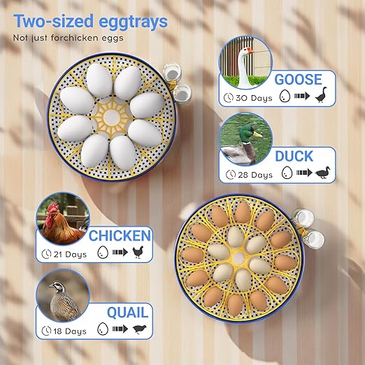 Incubator for Chicken Eggs,18 Eggs Smart Incubator with Automatic Egg Turning and Humidity Control,Egg Incubator with Automatic Water Bottle Refill & Timing Function for Chicken,Ducks,Goose,Pigeon