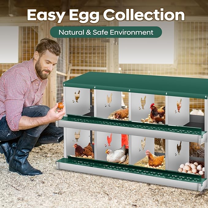 Nesting Boxes for Chickens, 8 Compartments, Nesting Boxes with 4 Dummy Eggs and 10 Dampproof Pets Mats, Green, Stainless Steel, Wall-Mountable & Roll Away Design