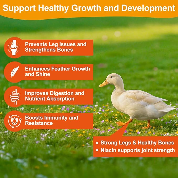 Ourea Brewer's Yeast with Niacin for Ducks, Supports Immunity Molt Recovery Severe Stress, Vitamins B Protein Amino Acids Supplement to Support Legs Bone Feather Health Growth Digestion for Duckling