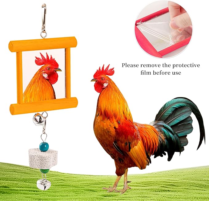 9PCS Chicken Toys for Coop, Chicken Xylophone Toy, Swing Mirror Chewing Toys for Hens Vegetable Hanging Feeder, Beak Grinding Calcium Stones with Bells Cage Toy for Cockatiel Parakeet Parrot Budgies