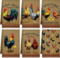 Bencailor 6 Pcs Farmhouse Kitchen Towels Chicken Rooster Kitchen Decor Farm Animal Hand Towels for Cooking Baking Housewarming Gift,15.75 x 23.62 inch(Brown,Retro Chicken Print)