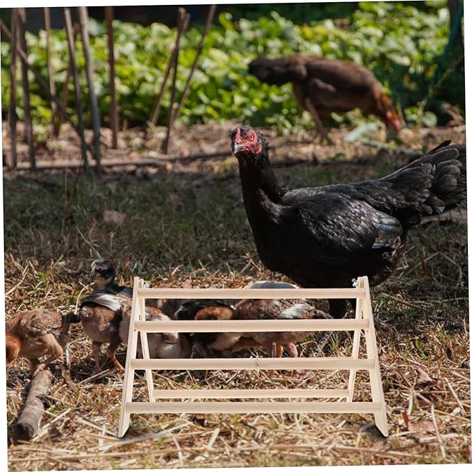 Chicken Roosting Bar for Perch Stand for Coop Easy to Clean Compact Storage Chick Training Accessory for Poultry