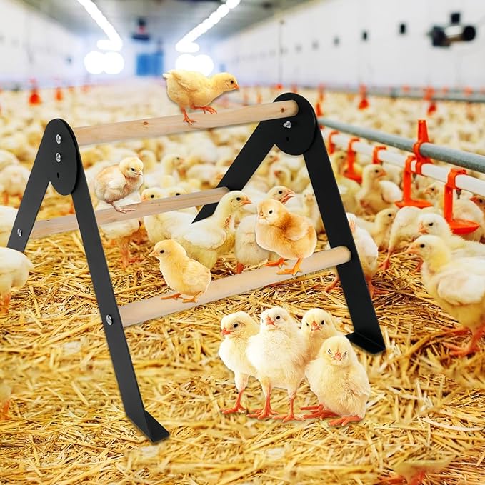 Wooden Chicken Roosting Perch, Metal and Wooden Training Hen Roosting Bars Stand for Coop Entertainment