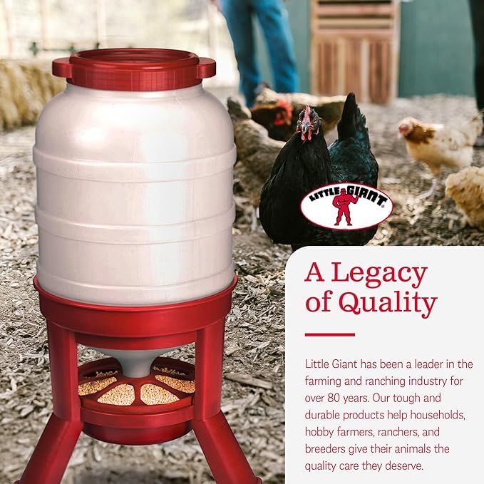 Little Giant Plastic Dome Feeder (60 Lb) Heavy Duty Plastic Gravity Fed Poultry Feed Container Tank (Red) (Item No. DOMEFDR60) (2 Pack)